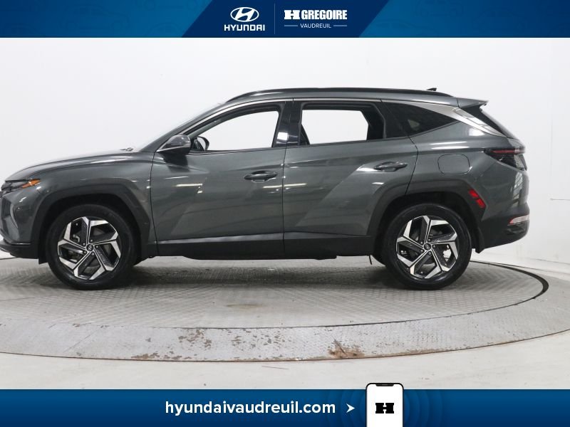 2023 Hyundai Tucson Green Laval - photo #5