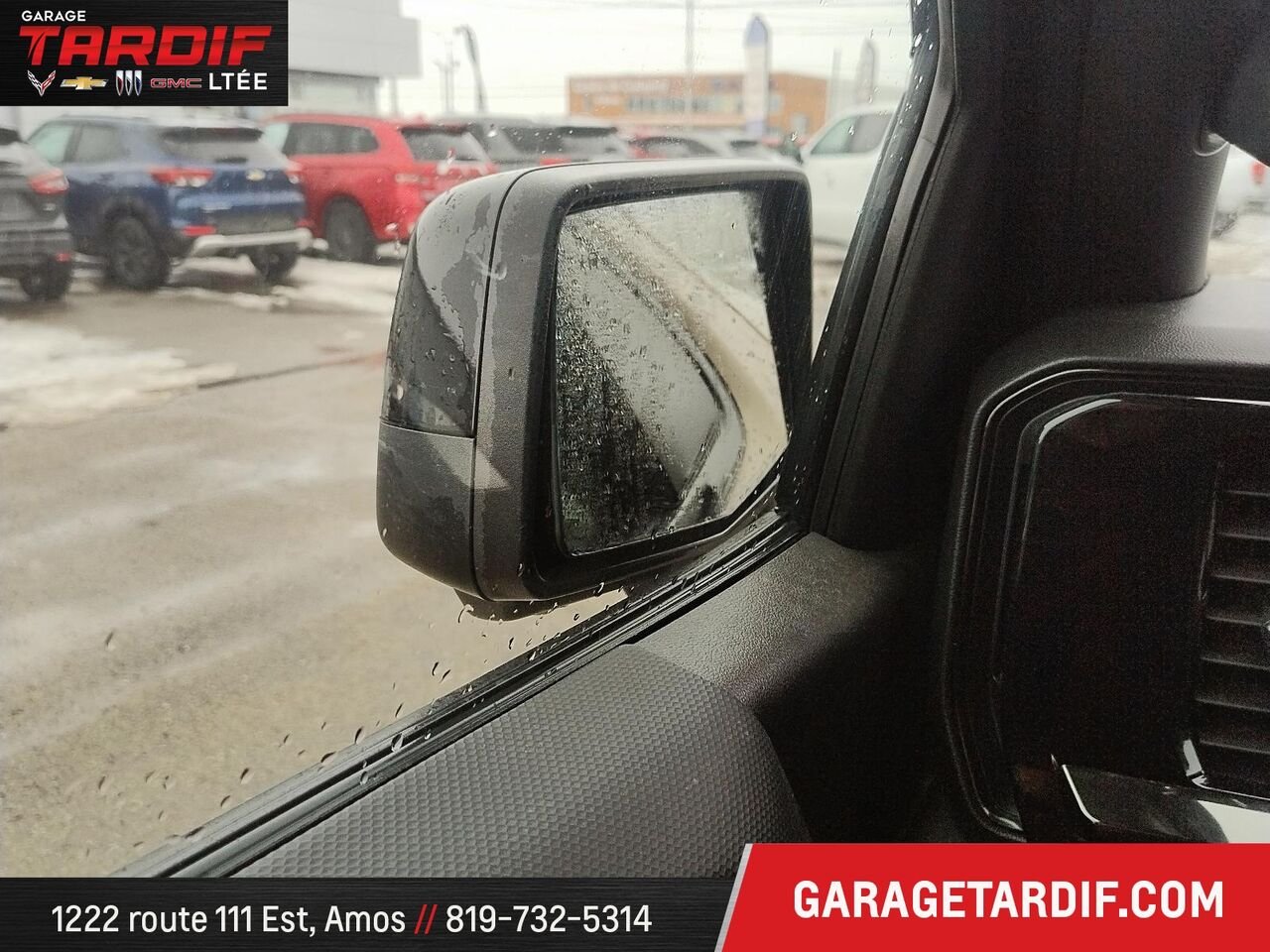 2022 Chevrolet Silverado 1500 Beige Amos - photo #22