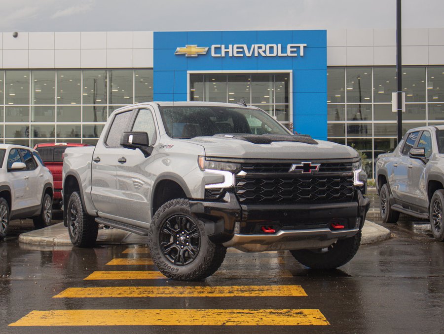 2025 Chevrolet Silverado 1500 2025 Grey