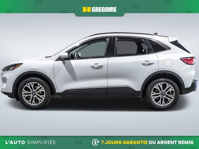 2021 Ford Escape 2021 White