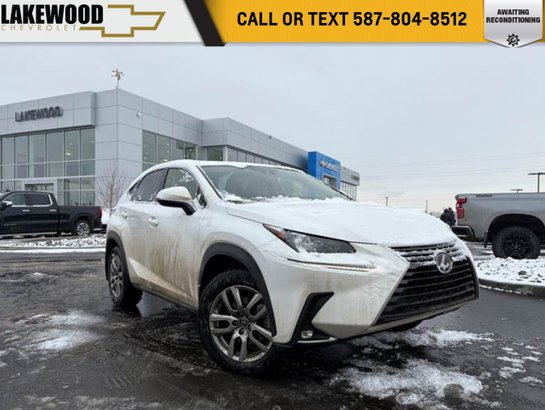 2021 Lexus NX 2021 White