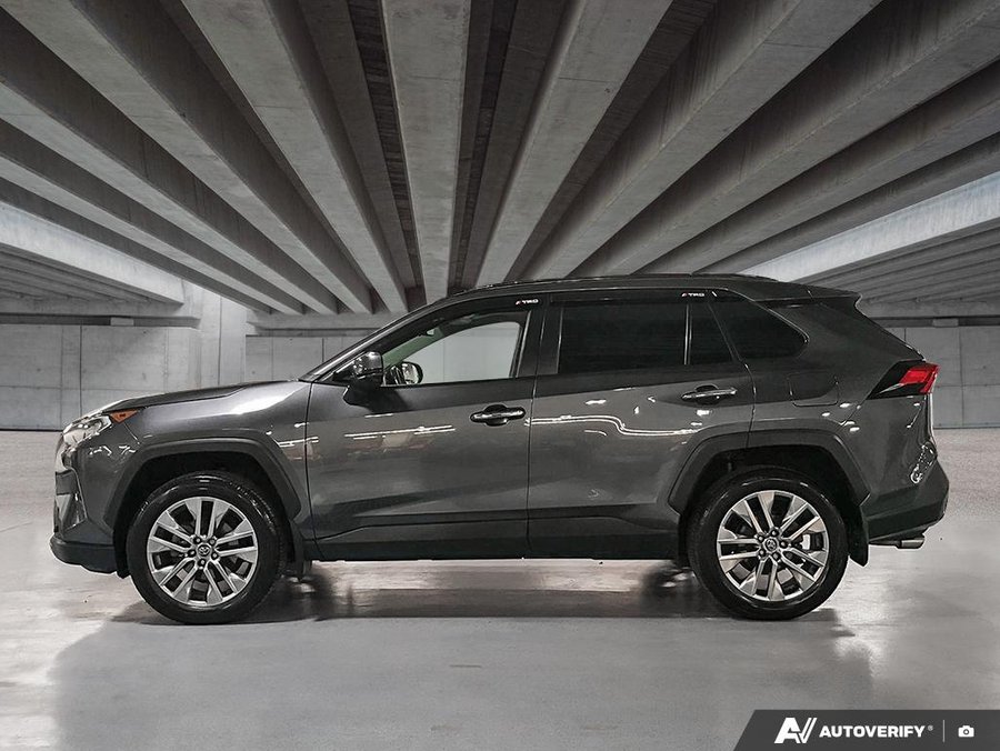 2019 Toyota RAV4 2019 Grey