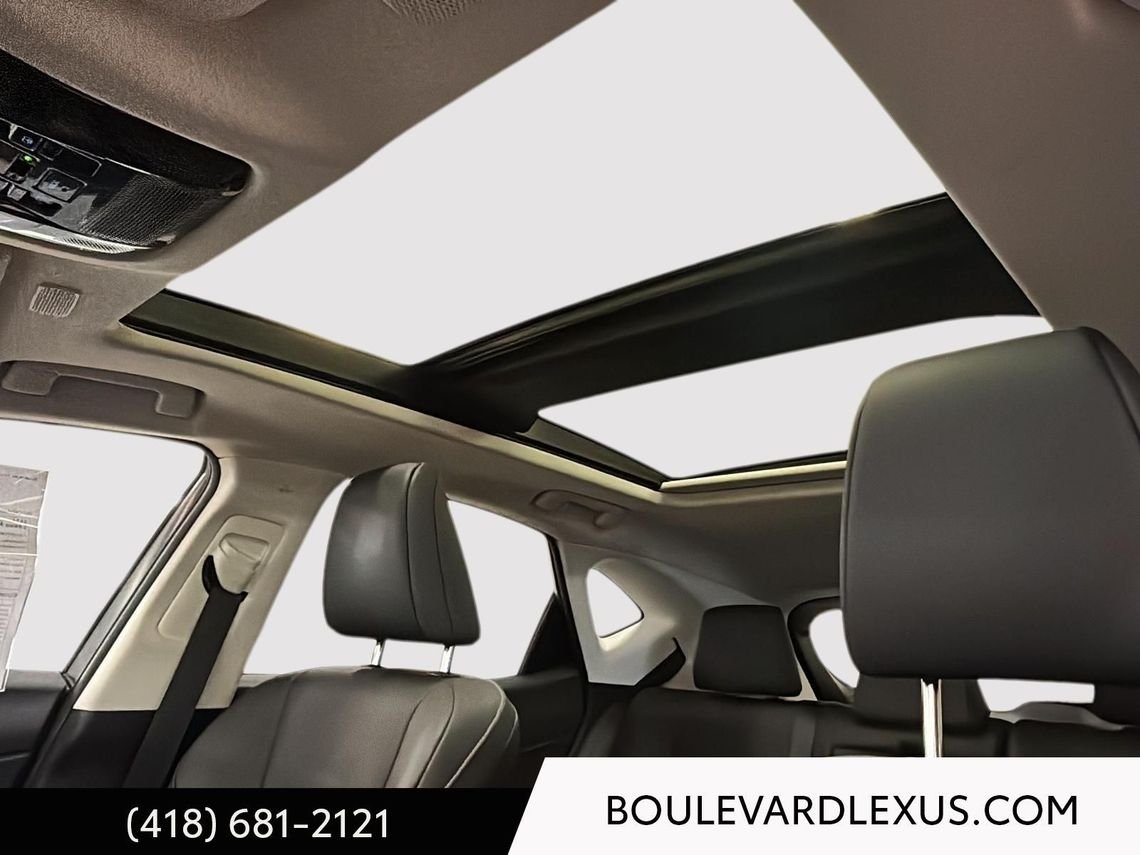 2024 Lexus NX Grey Quebec - photo #31
