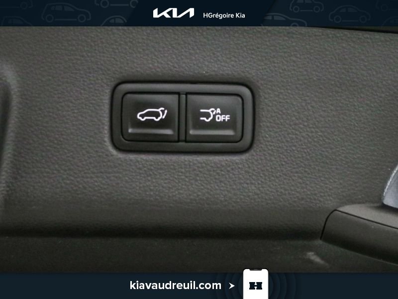2022 Kia Carnival Grey Laval - photo #33