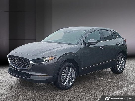 Mazda CX-30 2024 2024 Gris