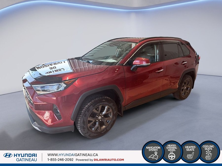 Toyota RAV4 2019 2019 Rouge