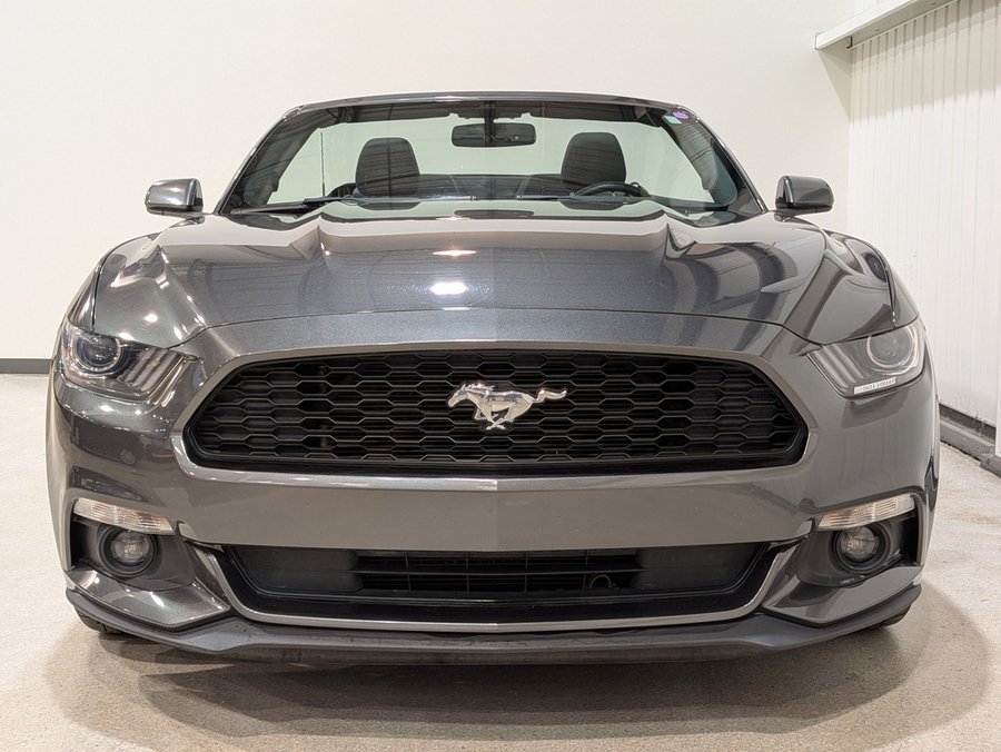 Ford Mustang 2017 2017 Gris