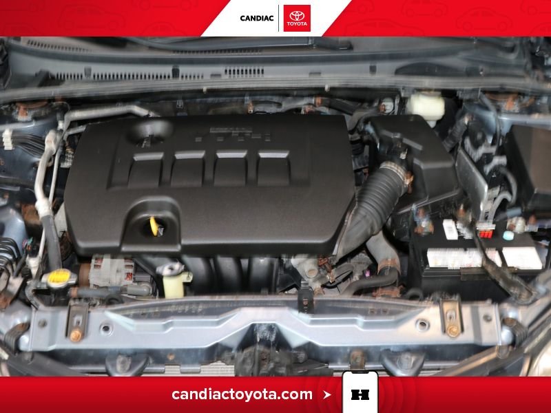 Toyota Corolla 2016 Bleu Laval - photo #33