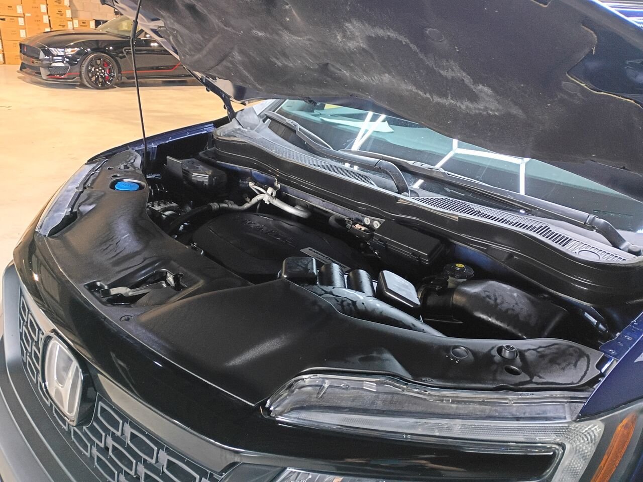 Honda Passport 2020 Bleu Blainville - photo #35