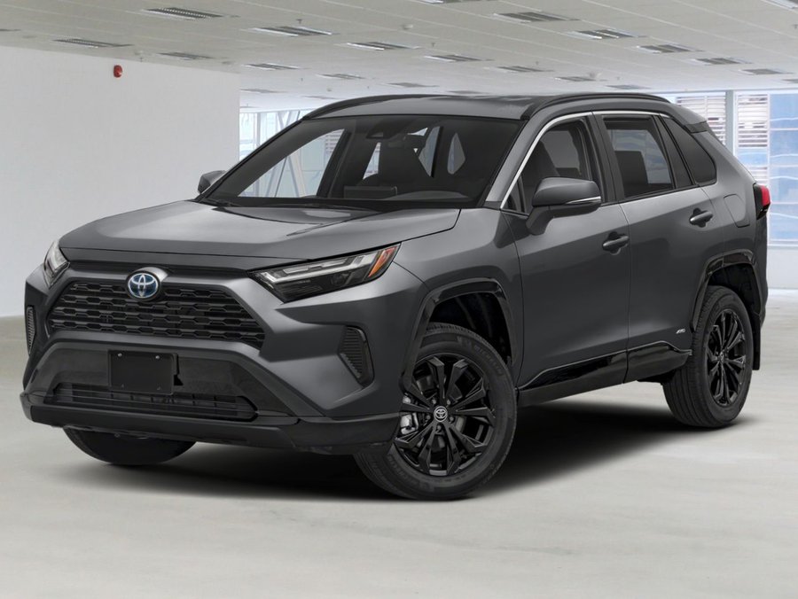 2024 TOYOTA RAV4 Hybrid 2024 Grey
