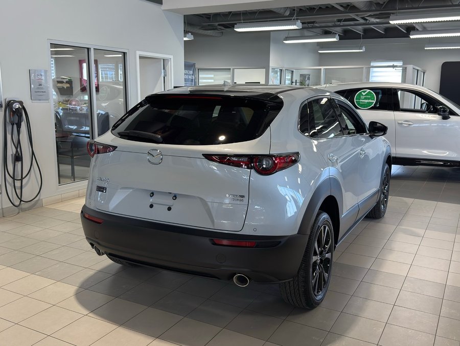 MAZDA CX-30 2025 2025 Céramique métallisé