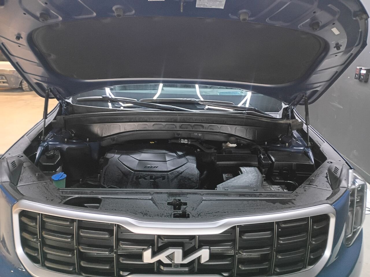 Kia Telluride 2023 Bleu Blainville - photo #35
