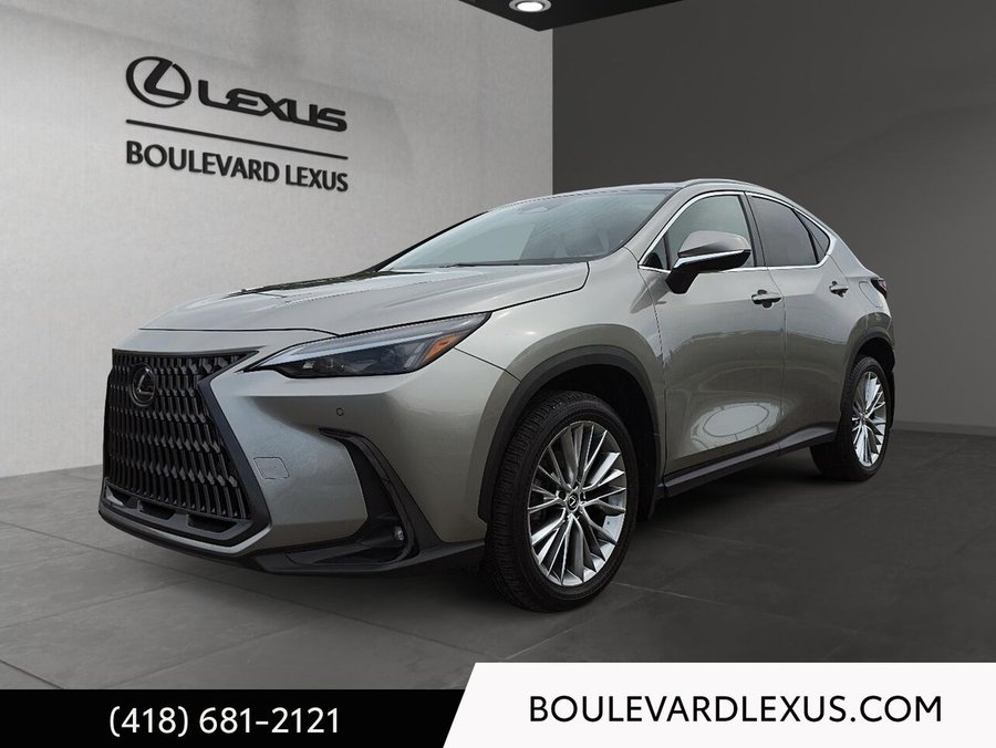 2024 Lexus NX 2024 Silver