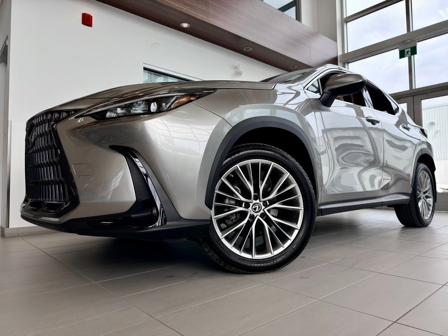 Lexus NX 2022 2022 Gris