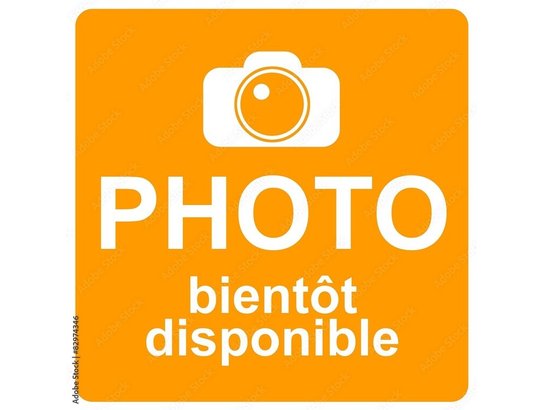 Kia Soul 2023 2023 Noir