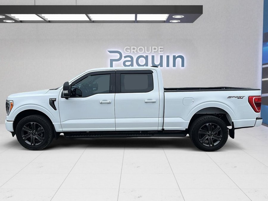 Ford F-150 2023 2023 Blanc