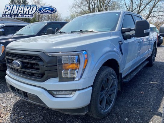 2023 Ford F-150 2023 gray