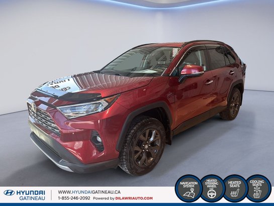 Toyota RAV4 2019 2019 Rouge