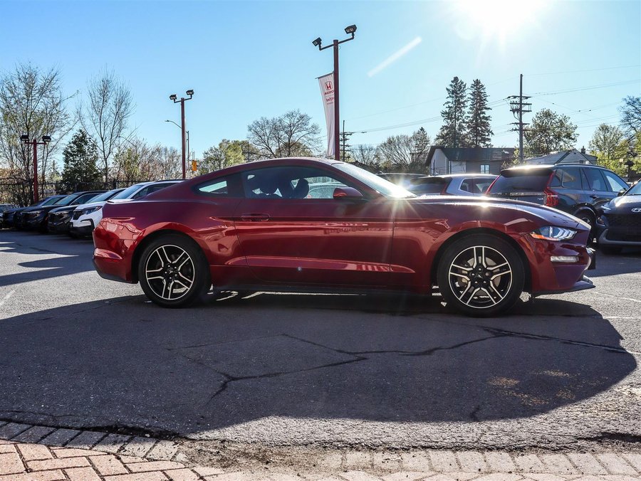 2019 Ford Mustang 2019