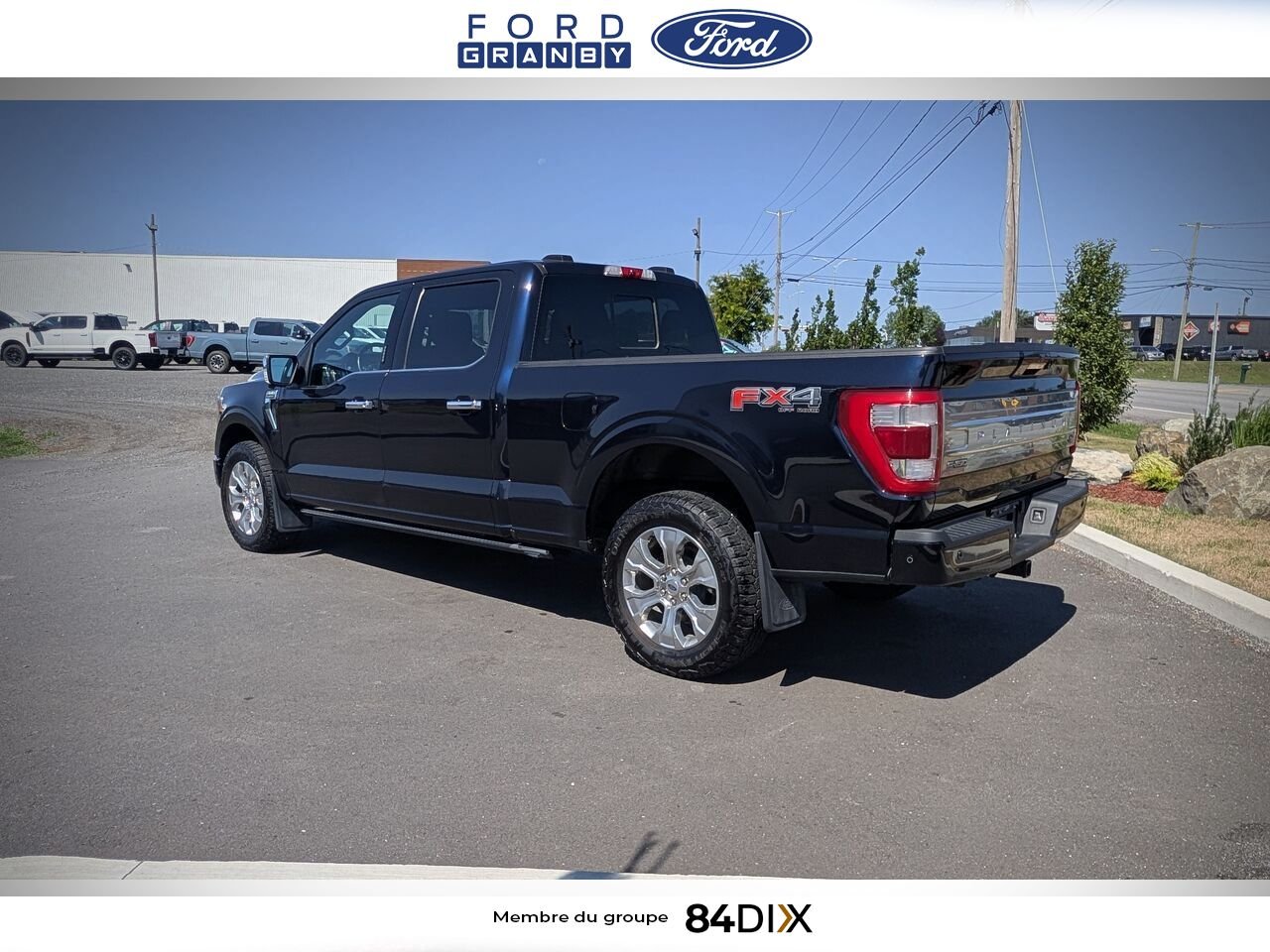 Ford F-150 2021 Bleu Granby - photo #4
