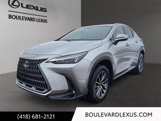 Lexus NX 2023 2023 Argent