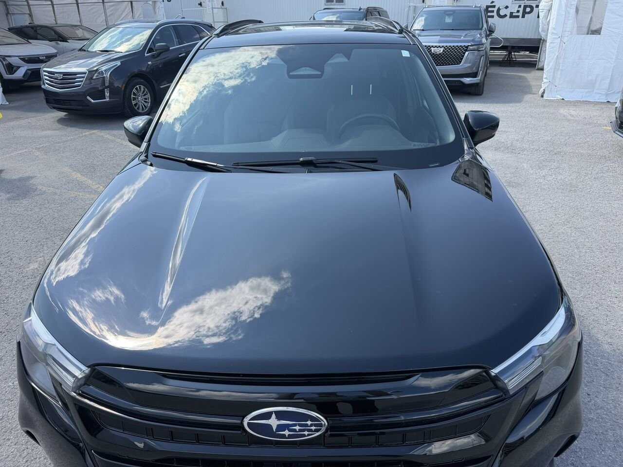 2025 Subaru Forester Sport Black Laval - photo #8