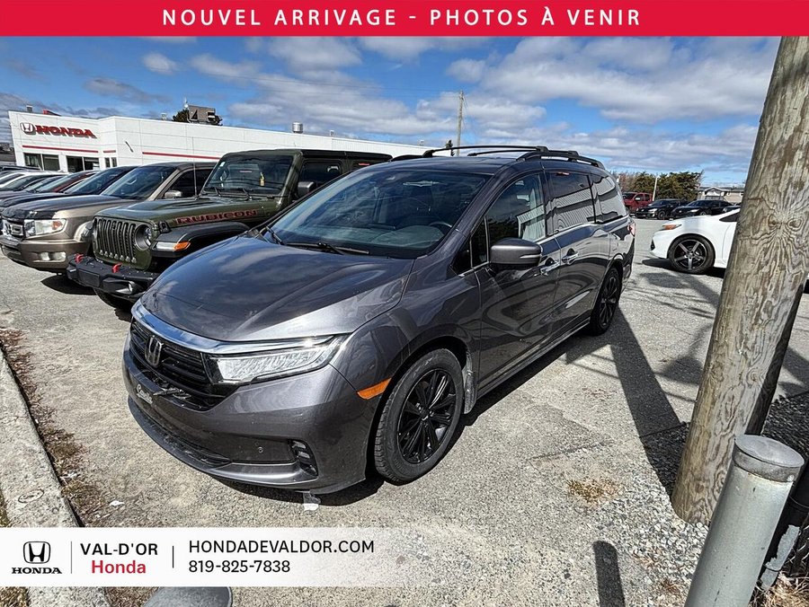 Honda Odyssey 2023 2023 Gris