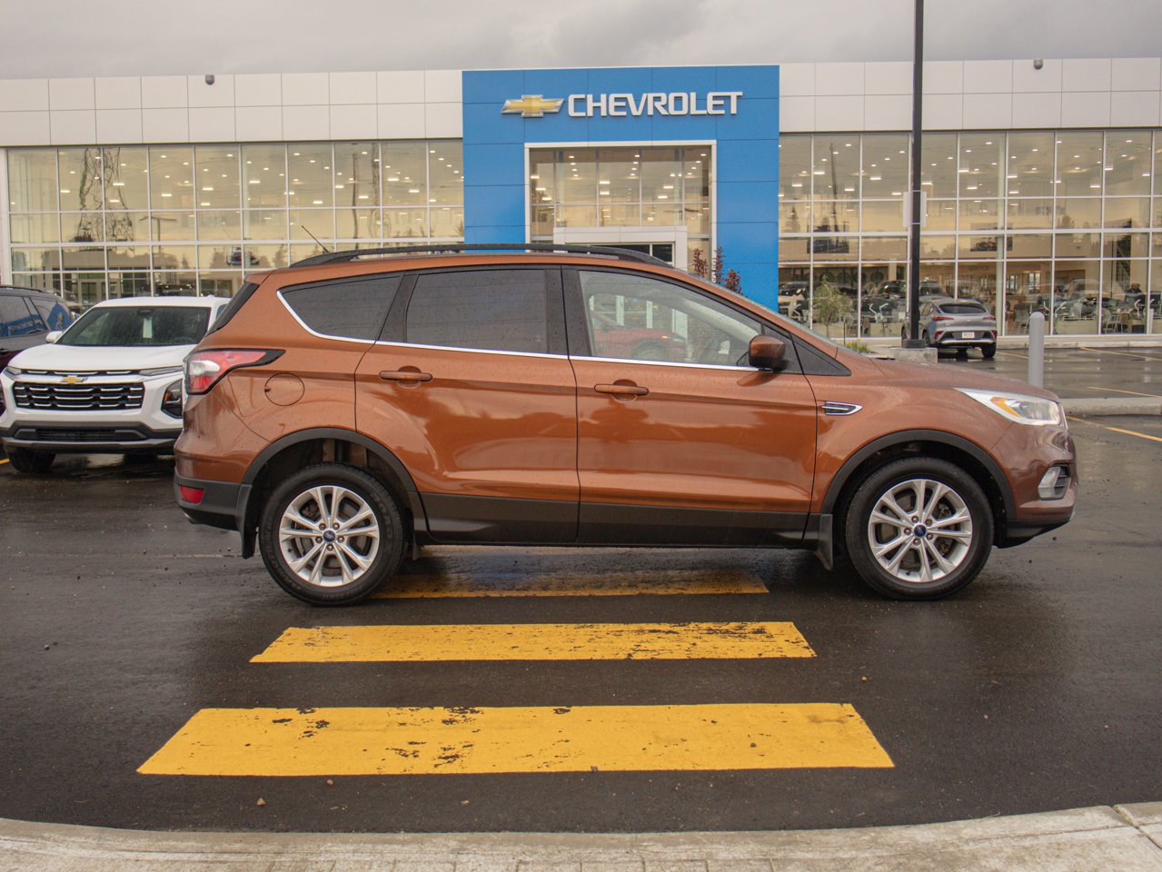 2017 Ford Escape FWD 4dr SE Beige Sherwood Park - photo #12
