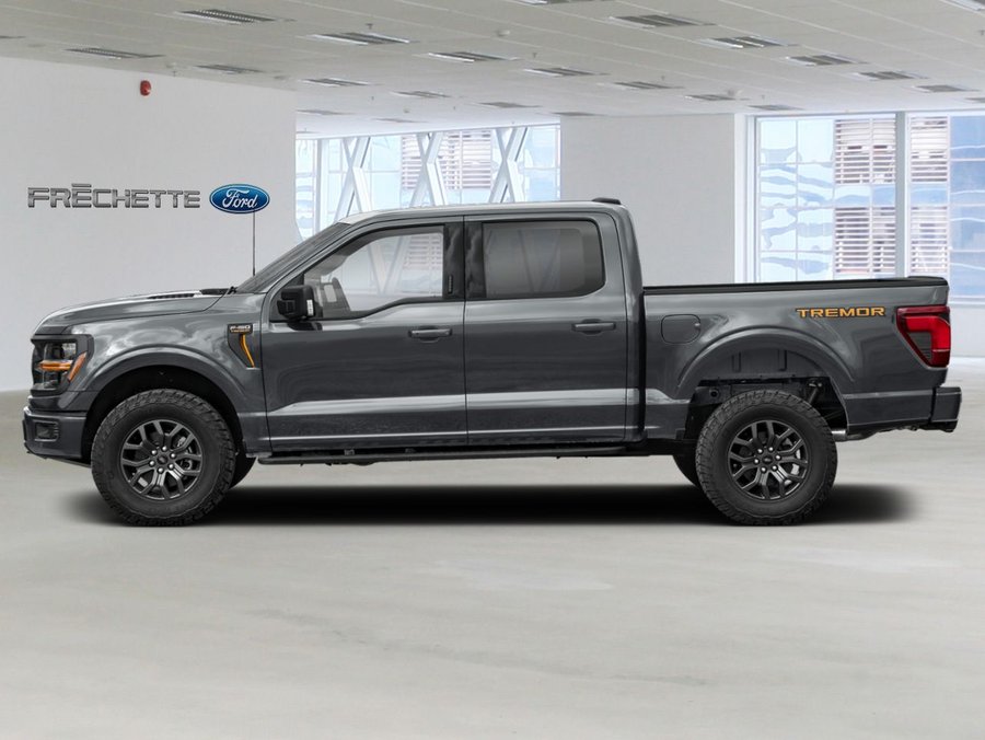 Ford F-150 2026 2026 Gris carbonisé métallisé