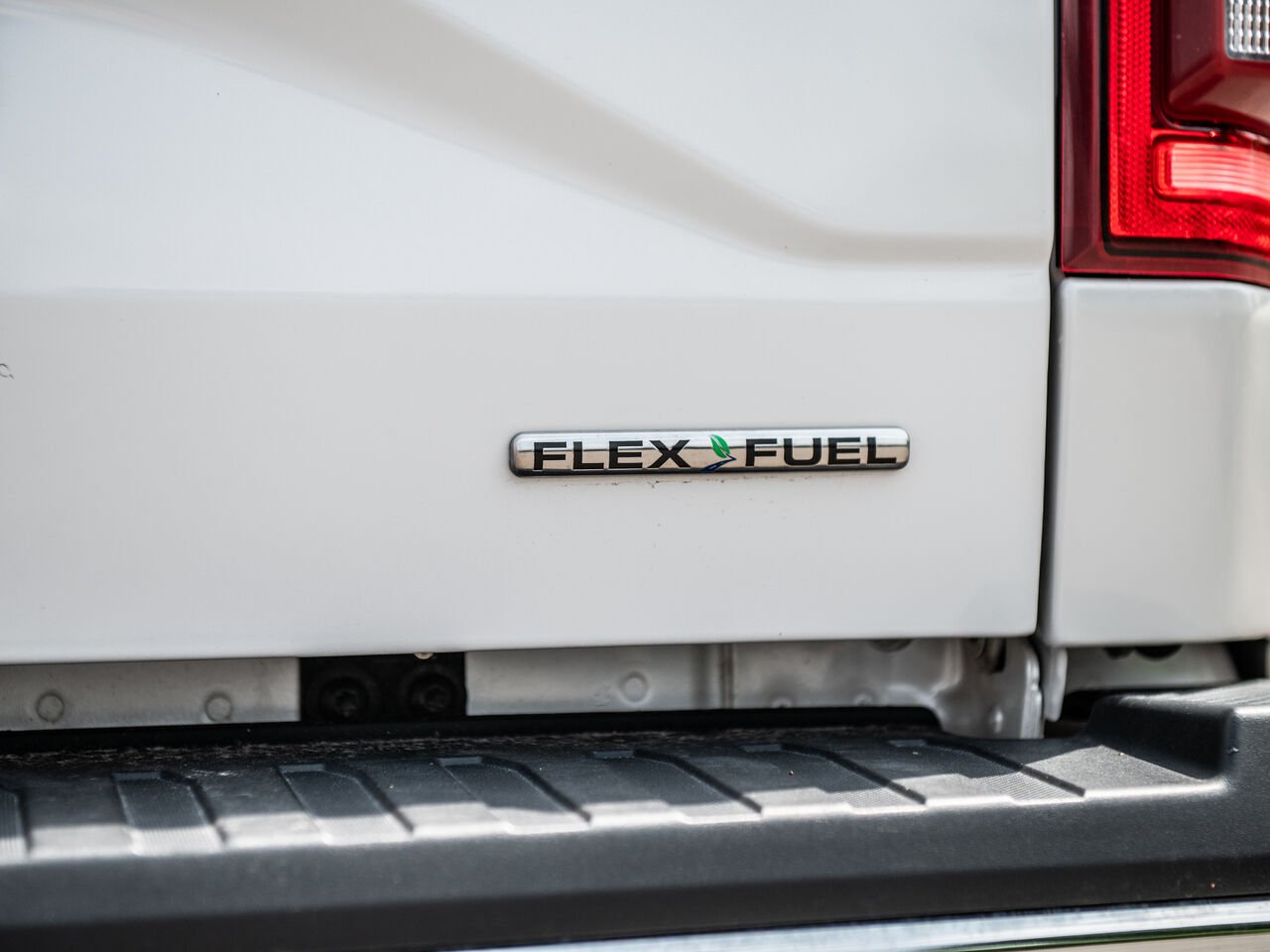 Ford F-150 2016 Blanc Sainte-Julienne - photo #6