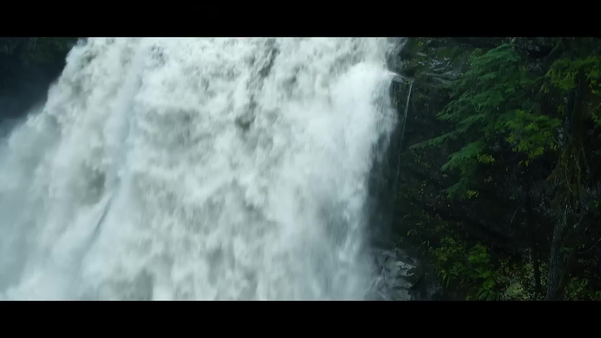 The Off Road Ready Mazda CX 50 mp4