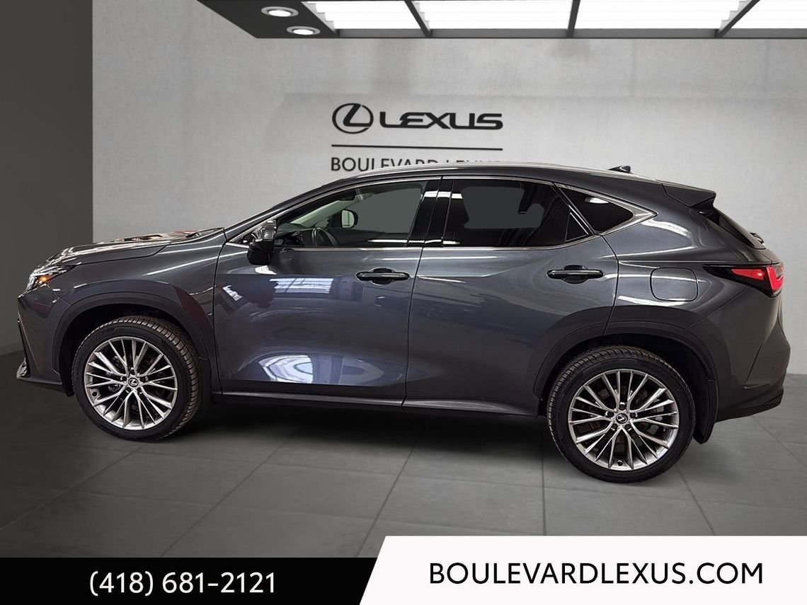 2024 Lexus NX Grey Quebec - photo #25