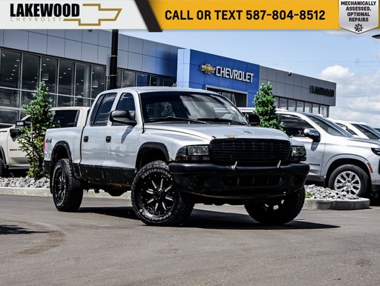 2004 Dodge Dakota 2004 Grey