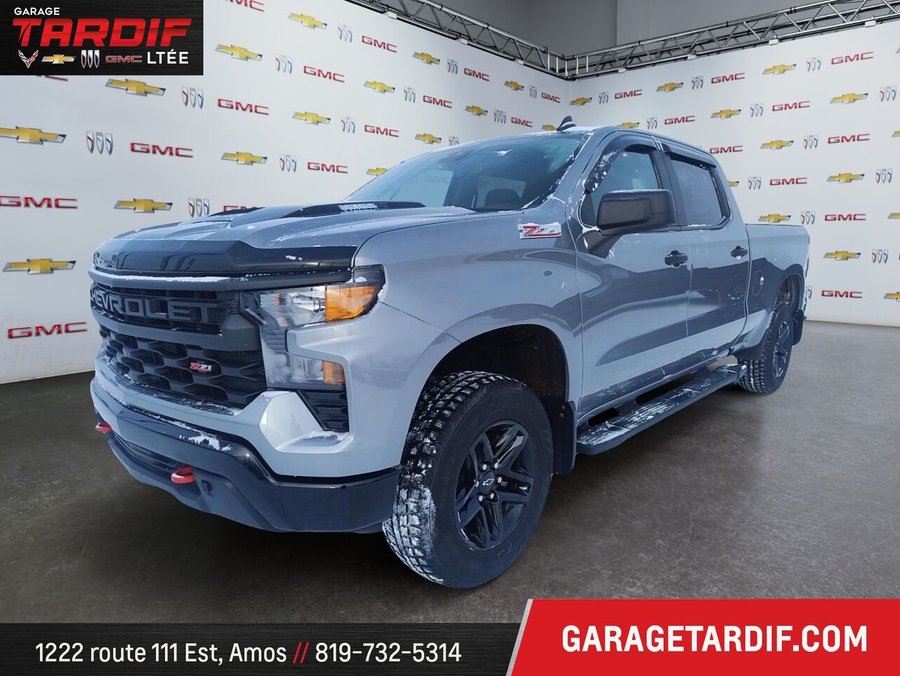 2024 CHEVROLET Silverado 1500 2024 Grey
