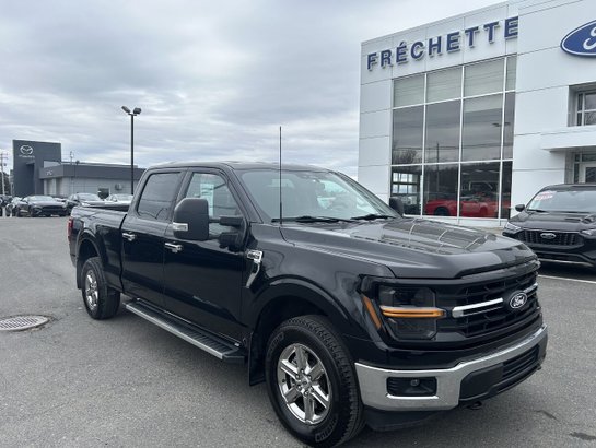 Ford F150 5.0L XLT 2024 2024 Noir