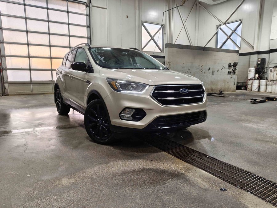 2017 Ford Escape 2017 White Gold Metallic