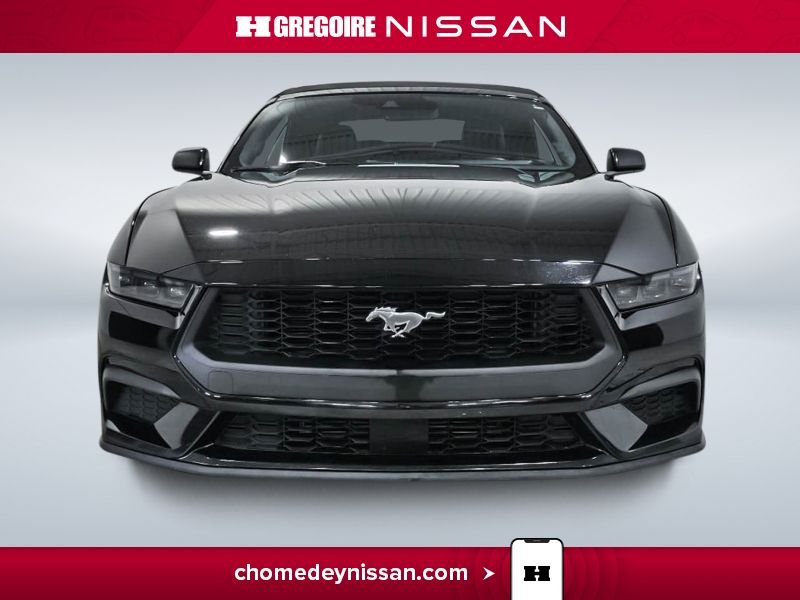2025 Ford Mustang Black Blainville - photo #1