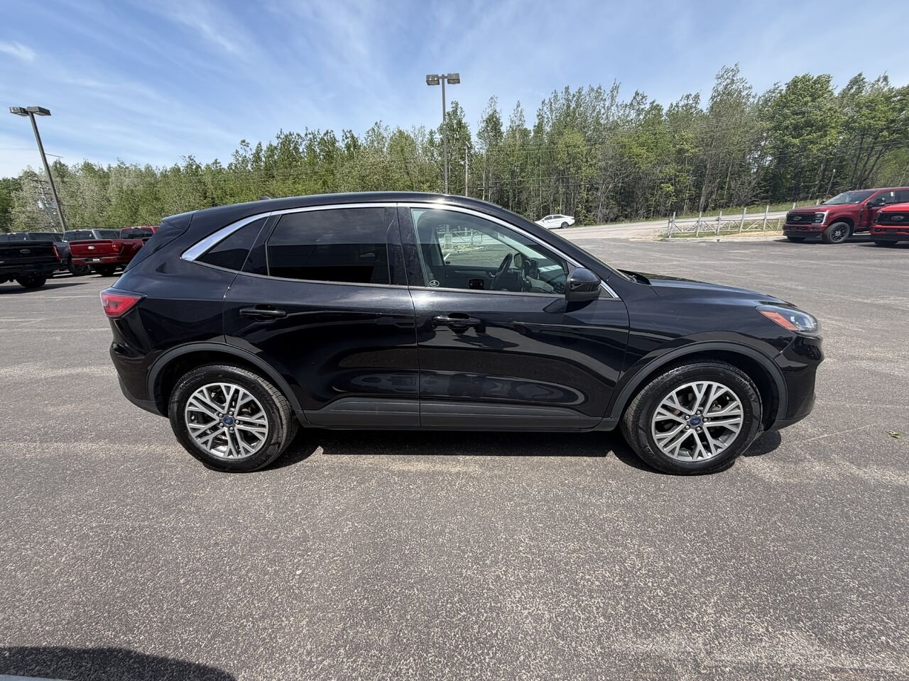Ford Escape 2022 Noir Mont-Laurier - photo #7
