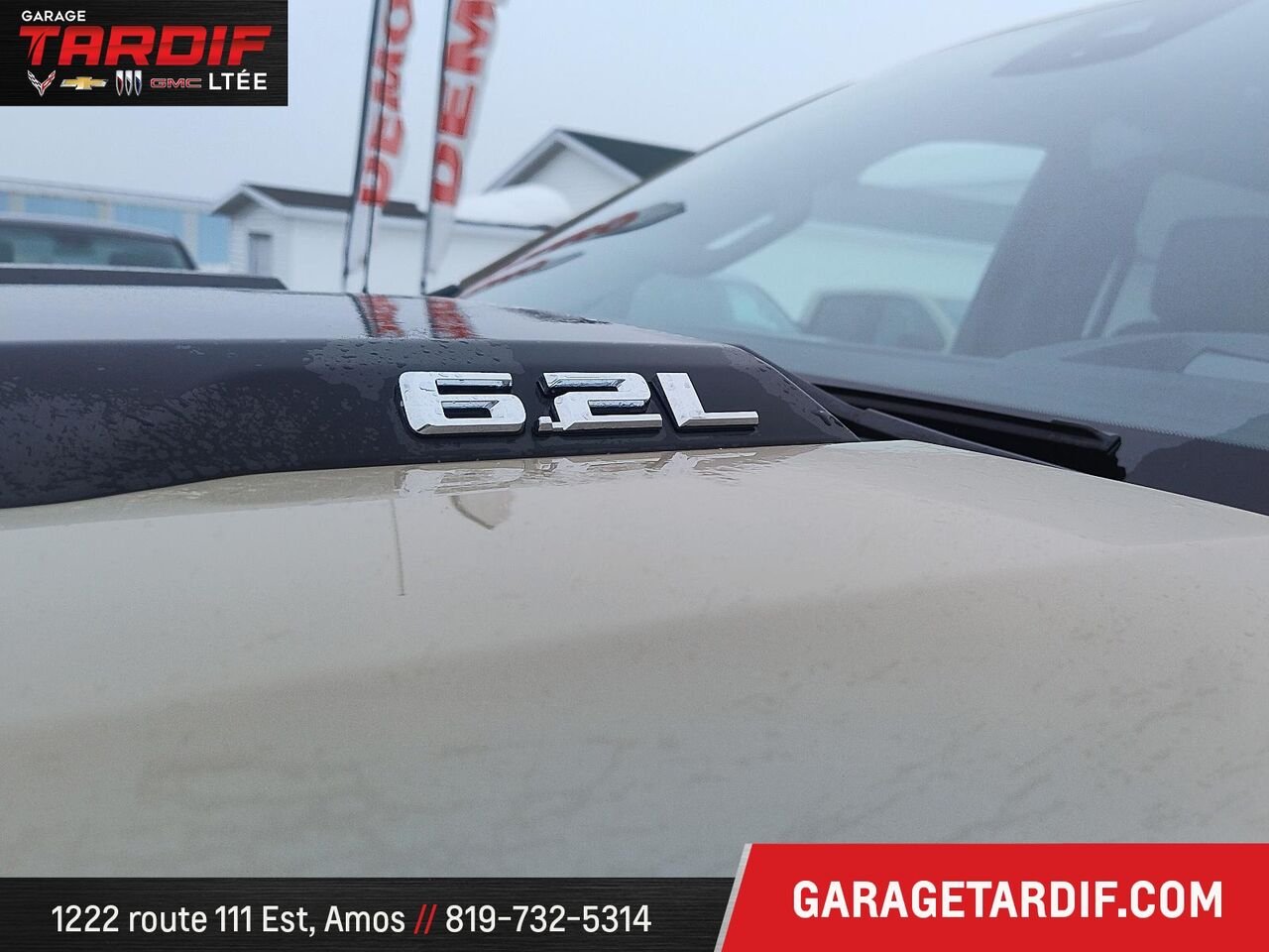 2022 Chevrolet Silverado 1500 Beige Amos - photo #5