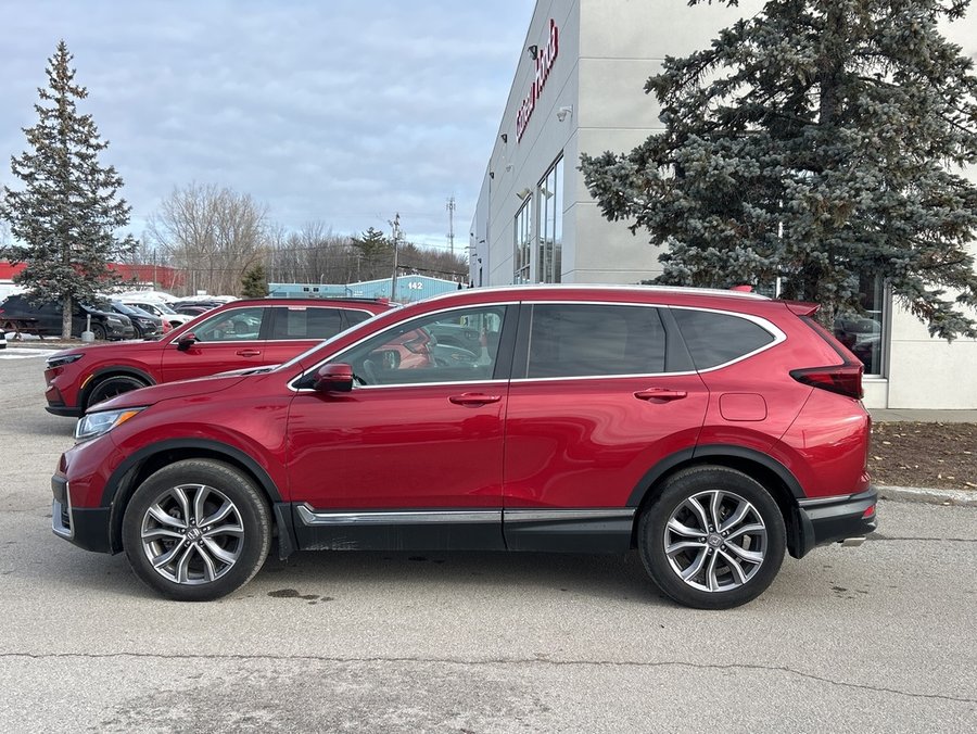 Honda CR-V 2022 2022 Rouge