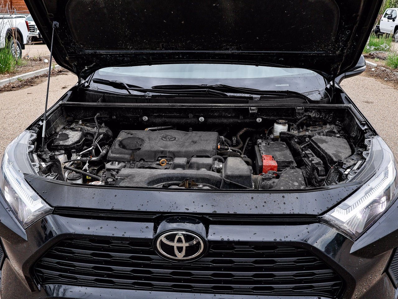 2024 Toyota RAV4 XLE AWD Black Sherwood Park - photo #8