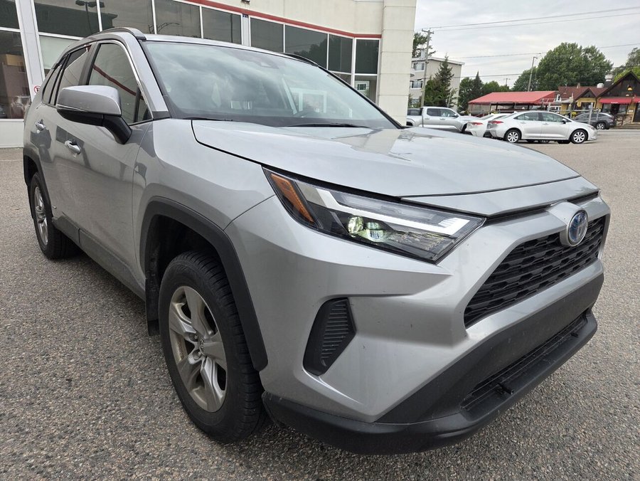 Toyota RAV4 2022 2022 Gris