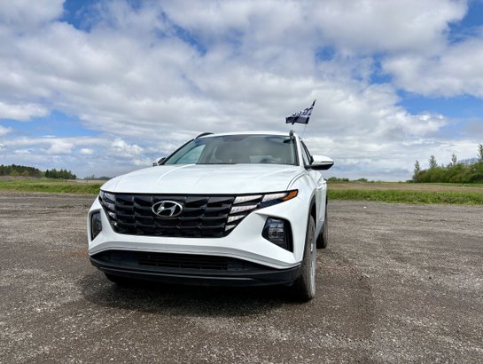 2022 Hyundai Tucson 2022 White