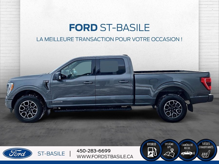 Ford F-150 2022 2022 Gris