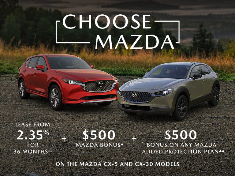 Magnetis - Monthly offers 