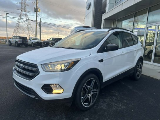 Ford Escape 2019 2019 Blanc