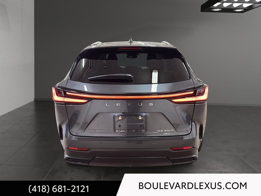 Lexus NX 2024 2024 Gris