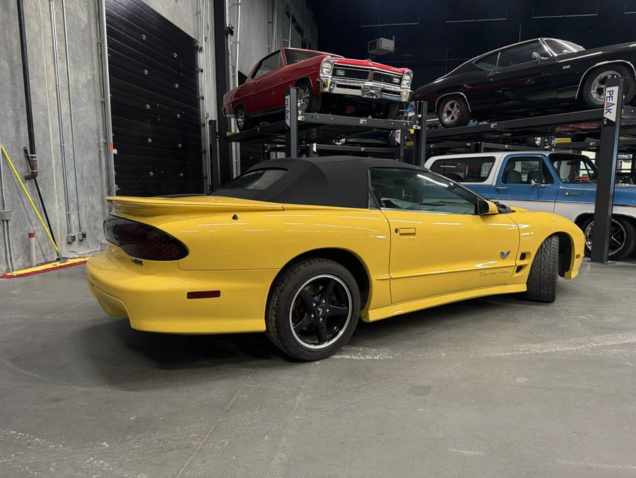 2002 Pontiac Firebird 2002 Sunfire Yellow