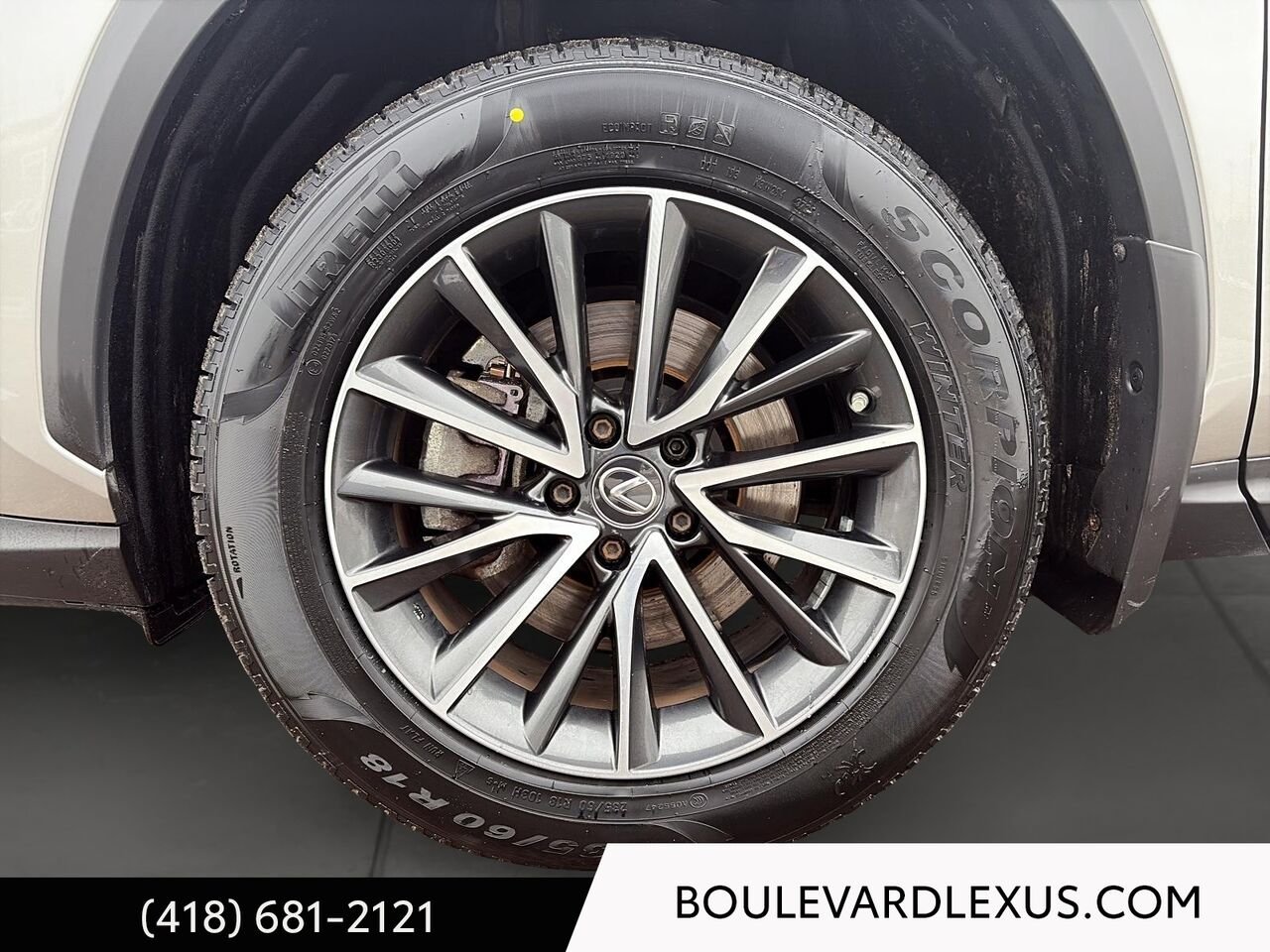 2023 Lexus NX Silver Quebec - photo #6
