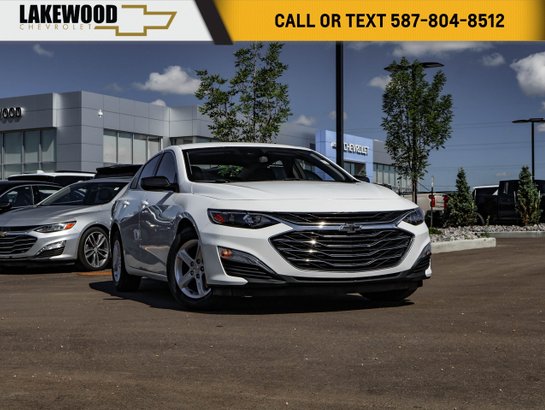 2023 Chevrolet Malibu 2023 White